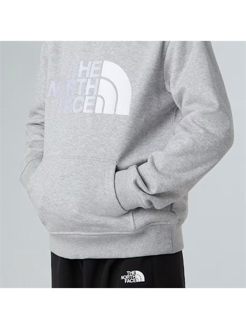 teen drew peak pullover THE NORTH FACE | NF0A8EHHDYX1DYX